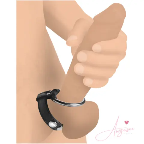 Leather and Steel Cock and Ball Ring