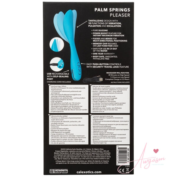 California Dreaming Palm Springs Pleaser - Image 4
