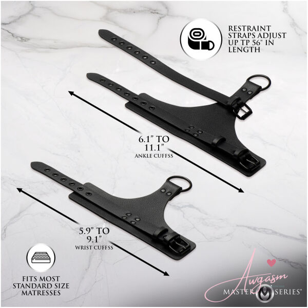 All Access Bed Restraint Kit - Image 4
