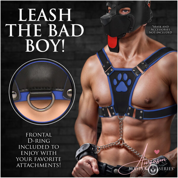 Alpha Pup Bulldog Harness - Blue - Image 3