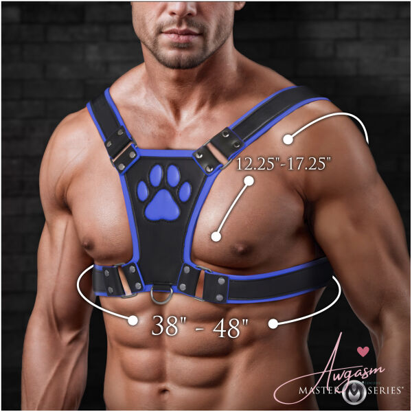 Alpha Pup Bulldog Harness - Blue - Image 4