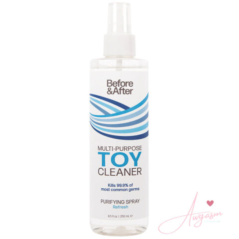 Before & After Spray Toy Cleaner 8.5oz