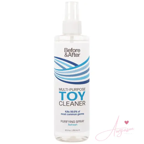 Before & After Spray Toy Cleaner 8.5oz