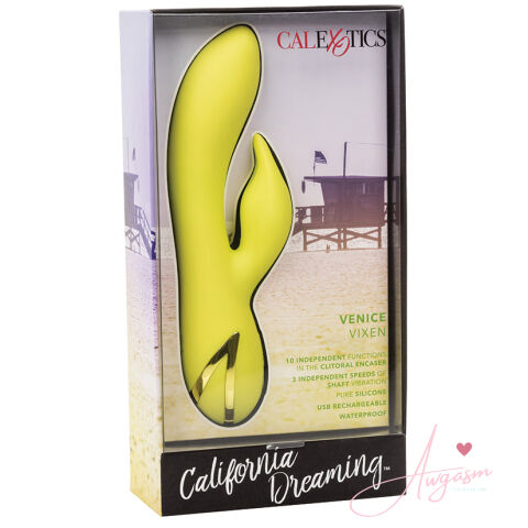 California Dreaming Venice Vixen