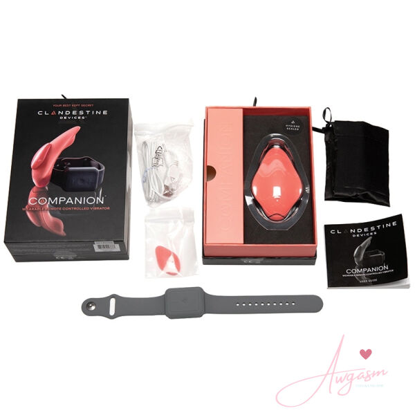 Clandestine Devices Companion - Image 4