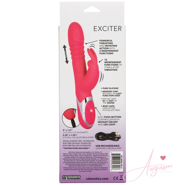 Enchanted Exciter - Image 4