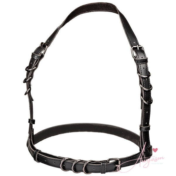 Euphoria Collection Halter Buckle Harness - Image 2