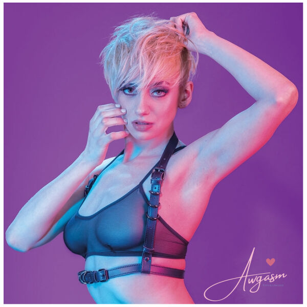 Euphoria Collection Halter Buckle Harness - Image 3
