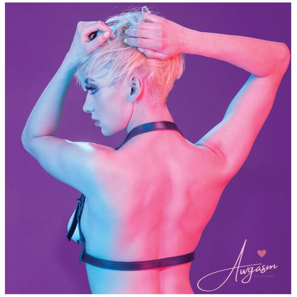 Euphoria Collection Halter Buckle Harness - Image 4