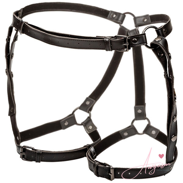 Euphoria Collection Plus Size Riding Thigh Harness - Image 2