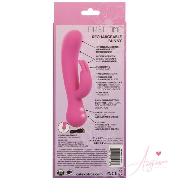 First Time Rechargeable Bunny - Image 4