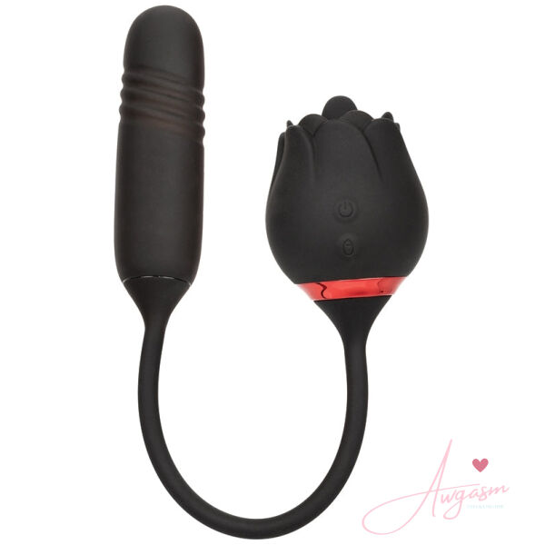 French Kiss Elite-Romeo - Image 2