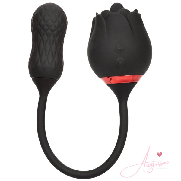 French Kiss Elite-Siren - Image 2