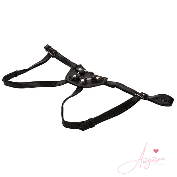 Her Royal Harness The Countess (boxed) - Image 2