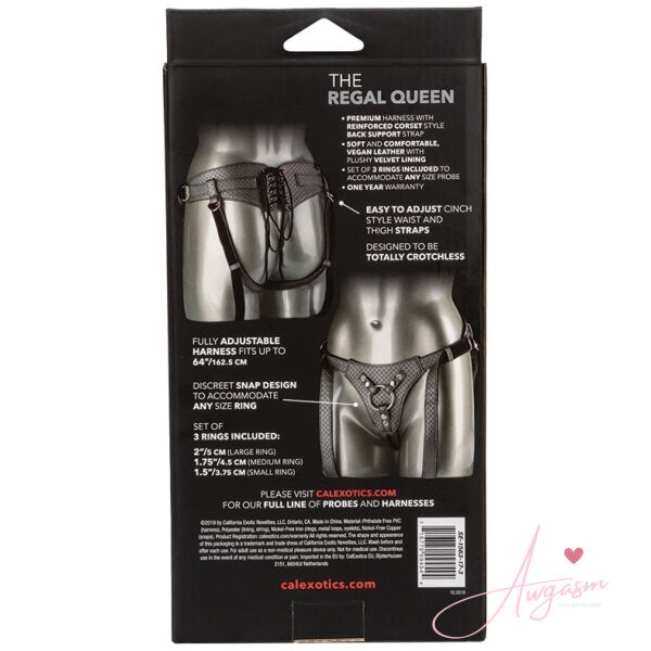Her Royal Harness The Regal Queen-Pewter - Image 4