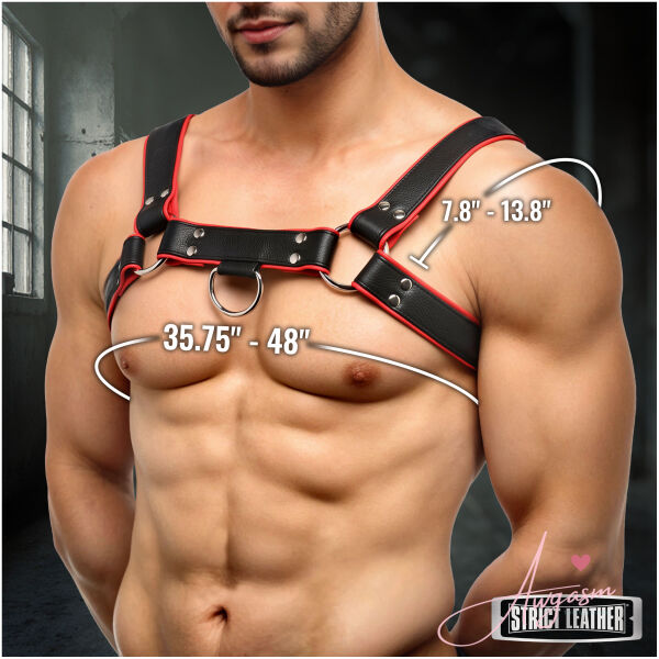 Leather English Bull Dog Harness Black/Red - Image 4