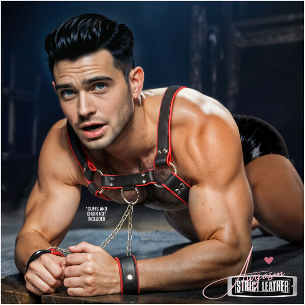 Leather English Bull Dog Harness Black/Red - Image 5