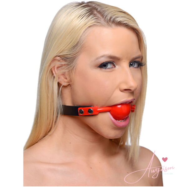 Little Piggy Hog Tie Kit with Comfort Ball Gag - Image 2