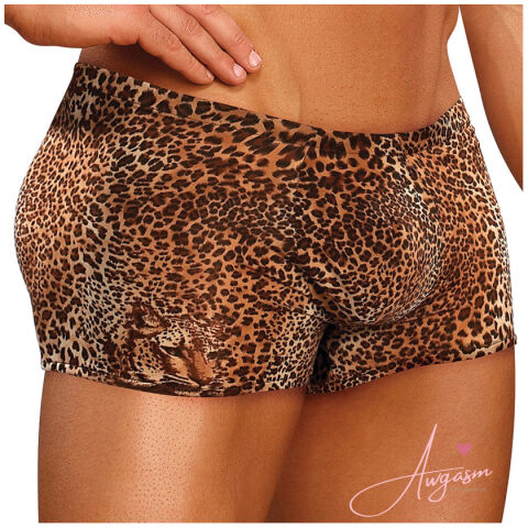 Male Power Animal Pouch Short-Brown Leopard Medium-Boxed