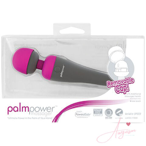 PalmPower Massager