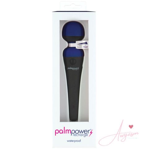 PalmPower Rechargeable Massager-Blue