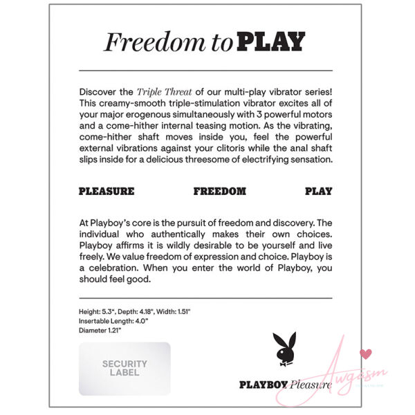 Playboy Triple Threat - Image 2