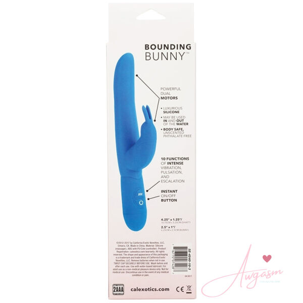 Posh 10 Function Bounding Bunny-Blue 4.25 - Image 3