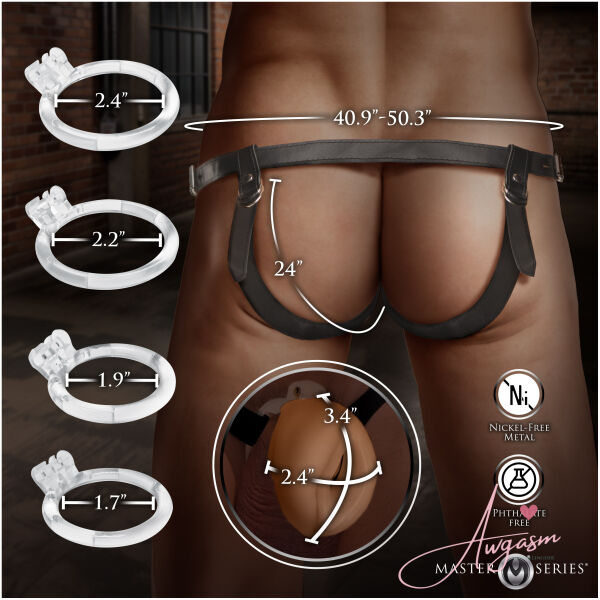 Pussy Chastity Cage - Medium - Image 4
