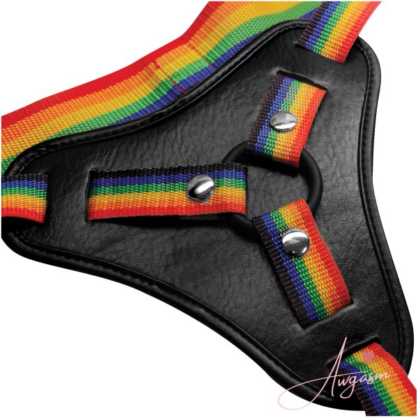 Rainbow Strap On Harness with Silicone O-Rings - Image 7