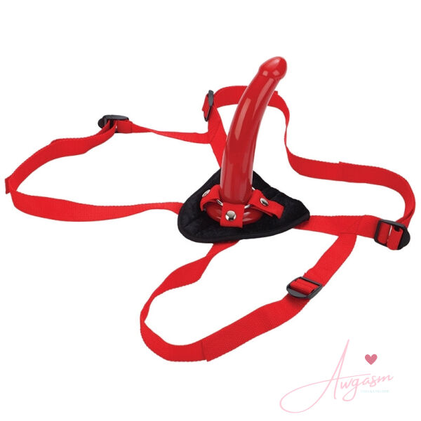 Red Rider Universal Harness With "G" Curved Dong-Red 7" - Image 2