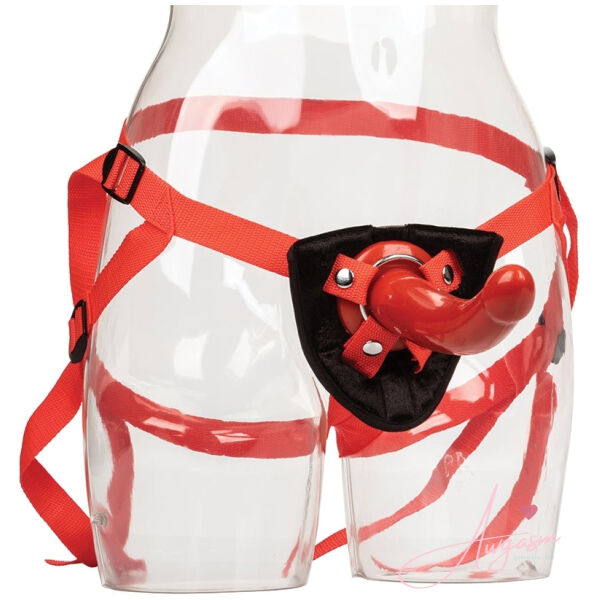 Red Rider Universal Harness With "G" Curved Dong-Red 7" - Image 3