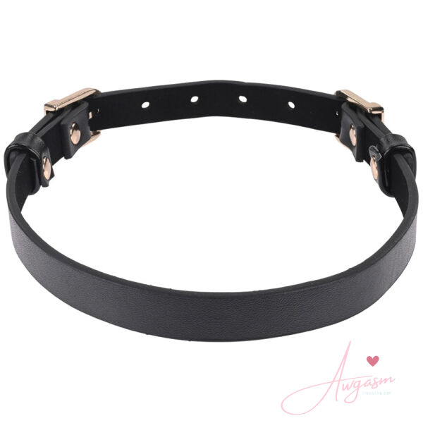 S&M Double Buckle Day Collar - Image 2