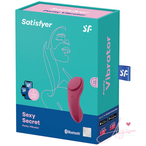 Satisfyer Sexy Secret Panty Vibrator-Wine Red