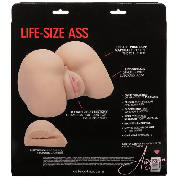 Stroke It Life Size Ass-Ivory - Image 3