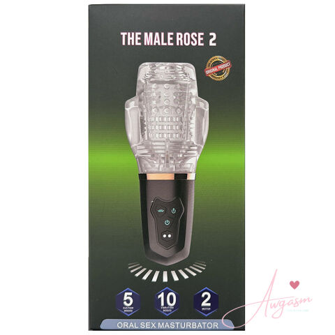 The Male Rose 2
