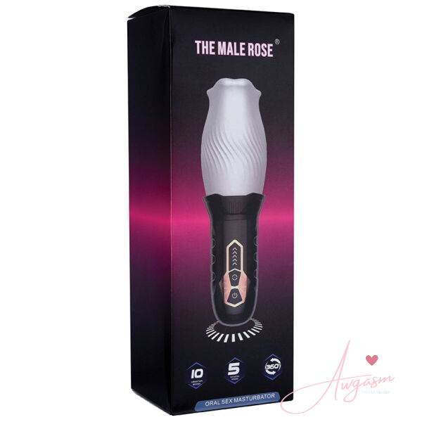 The Original Male Rose - Image 4