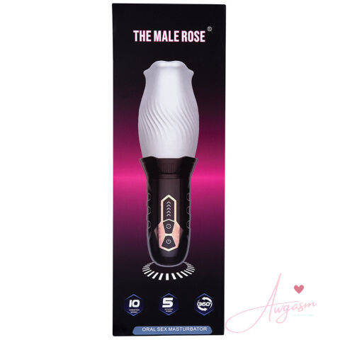 The Original Male Rose