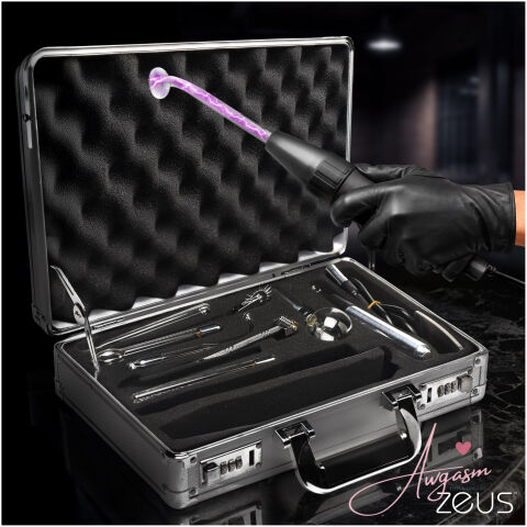 Ultimate Edition Violet Wand Set