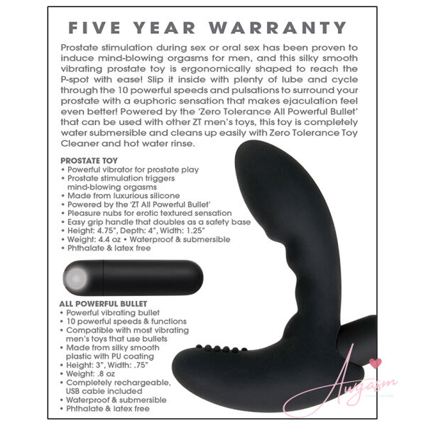 Zero Tolerance Eternal P-Spot Massager-Black - Image 3