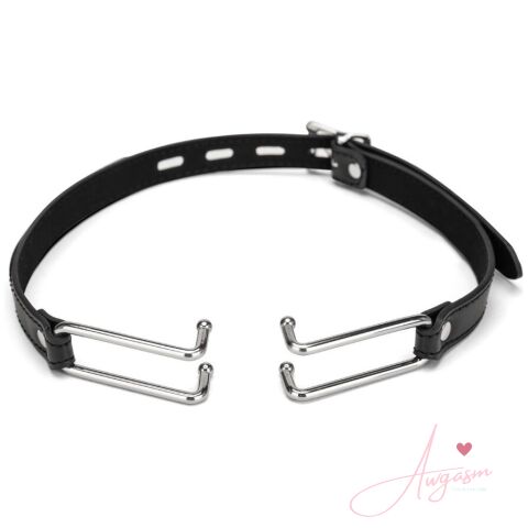 Me You Us Spider Stretch Gag 2