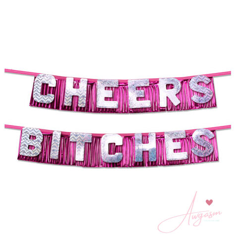 Bachelorette Party Favors Cheers Bitches Party Banner