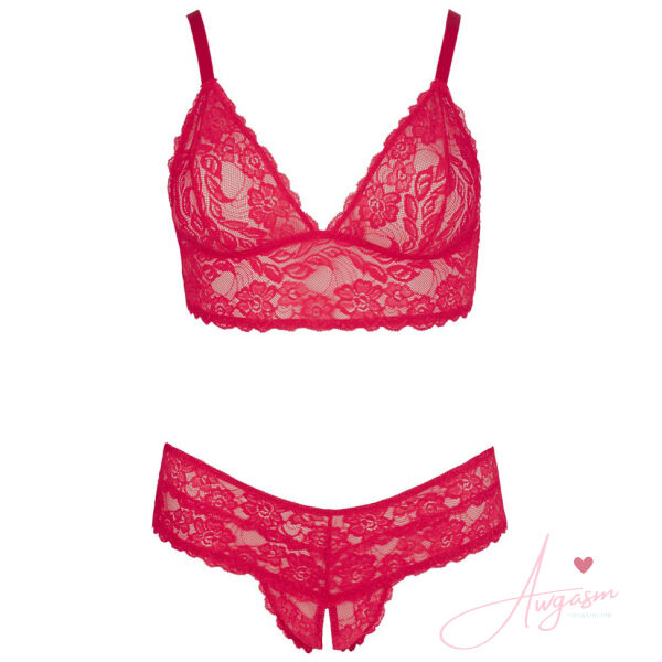 Cottelli Plus Size Red Lace Bra And Briefs - Image 5