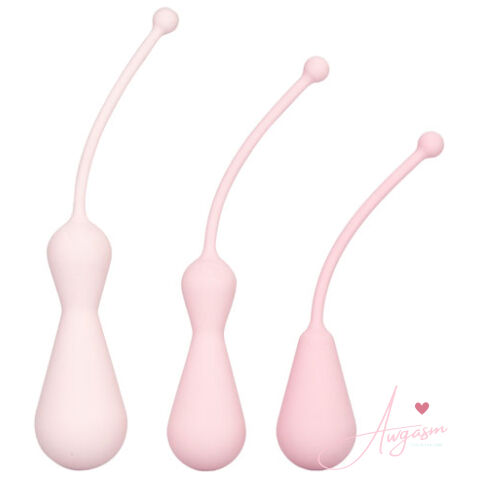 Inspire Weighted Silicone Kegel Training Kit
