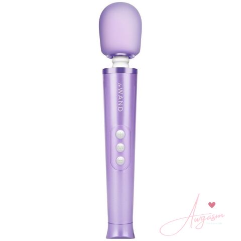 Le Wand Petite Rechargeable Vibrating Massager Violet