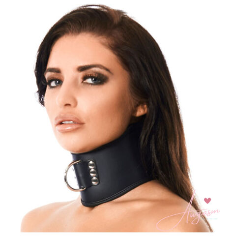 Leather Collar With Padlock