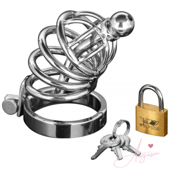 Master Series Asylum 4 Ring Locking Chastity Cage - Image 2