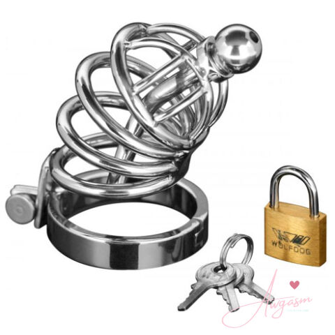 Master Series Asylum 4 Ring Locking Chastity Cage