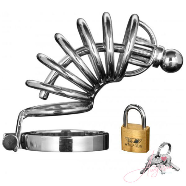 Master Series Asylum 6 Ring Locking Chastity Cage - Image 2