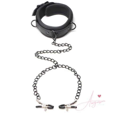 Master Series Collared Temptress