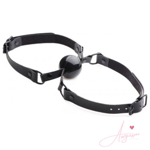 Master Series Doppleganger Silicone Double Mouth Gag